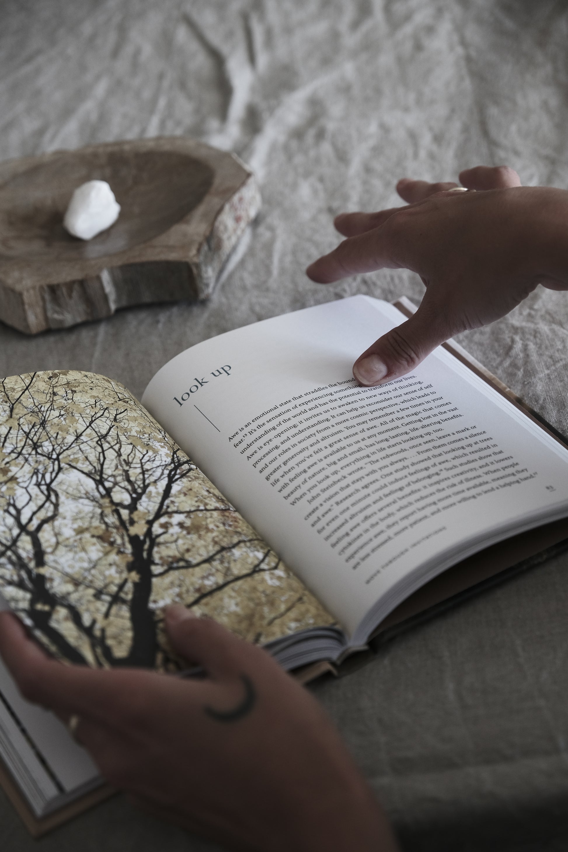 Image of the book Forest Bathing from Terra Cruda's book collection