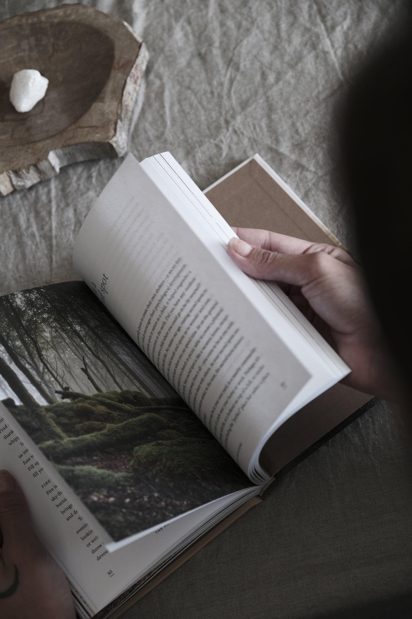 Image of the book Forest Bathing from Terra Cruda's book collection