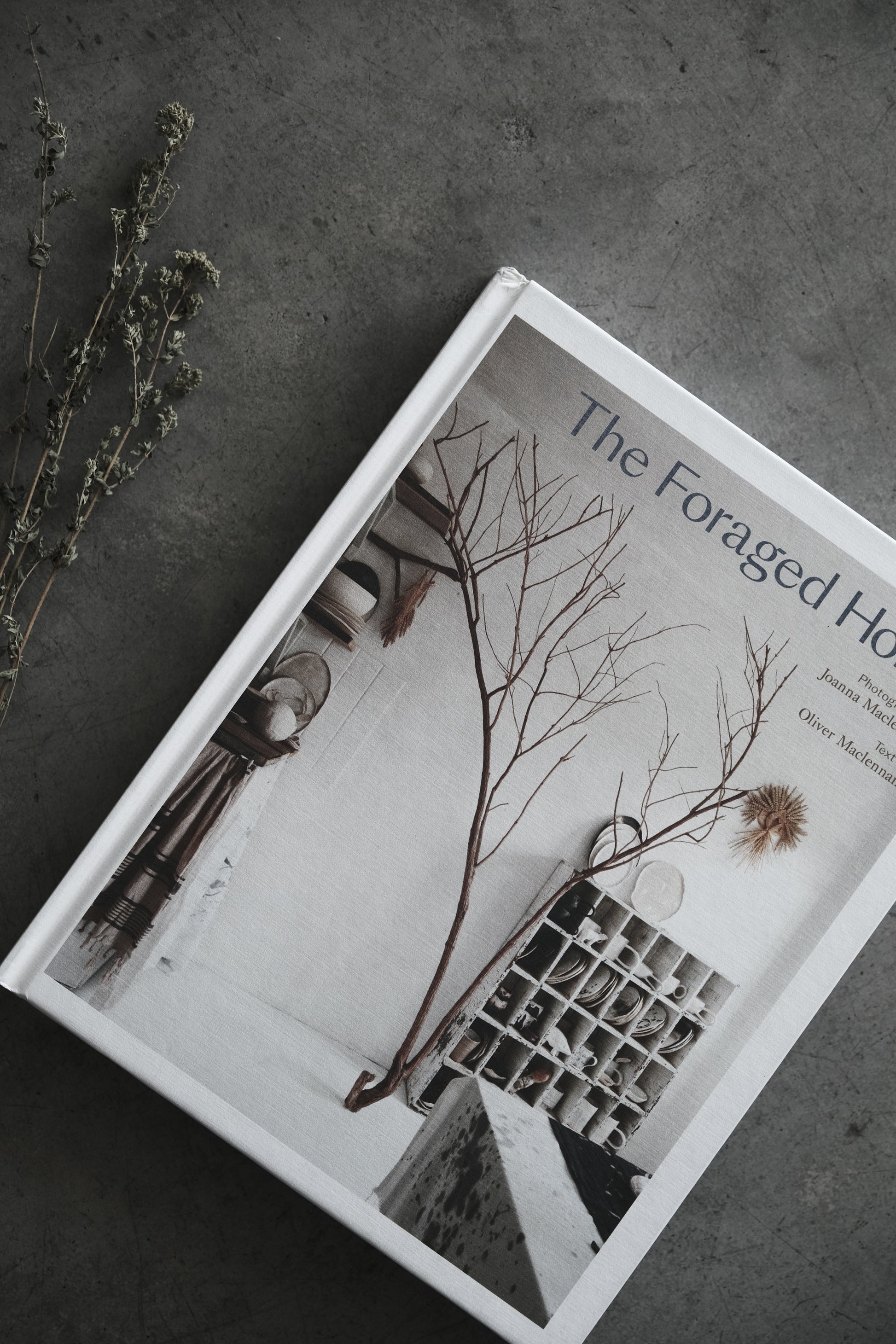 Image of the book The Foraged Home from Terra Cruda's book collection